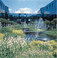 Astellas Pharma Netherlands